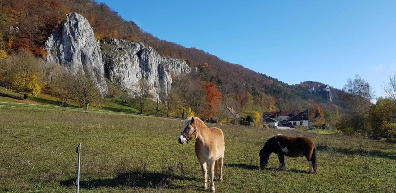 Fewo Lehner Riedenburg Luaran gambar