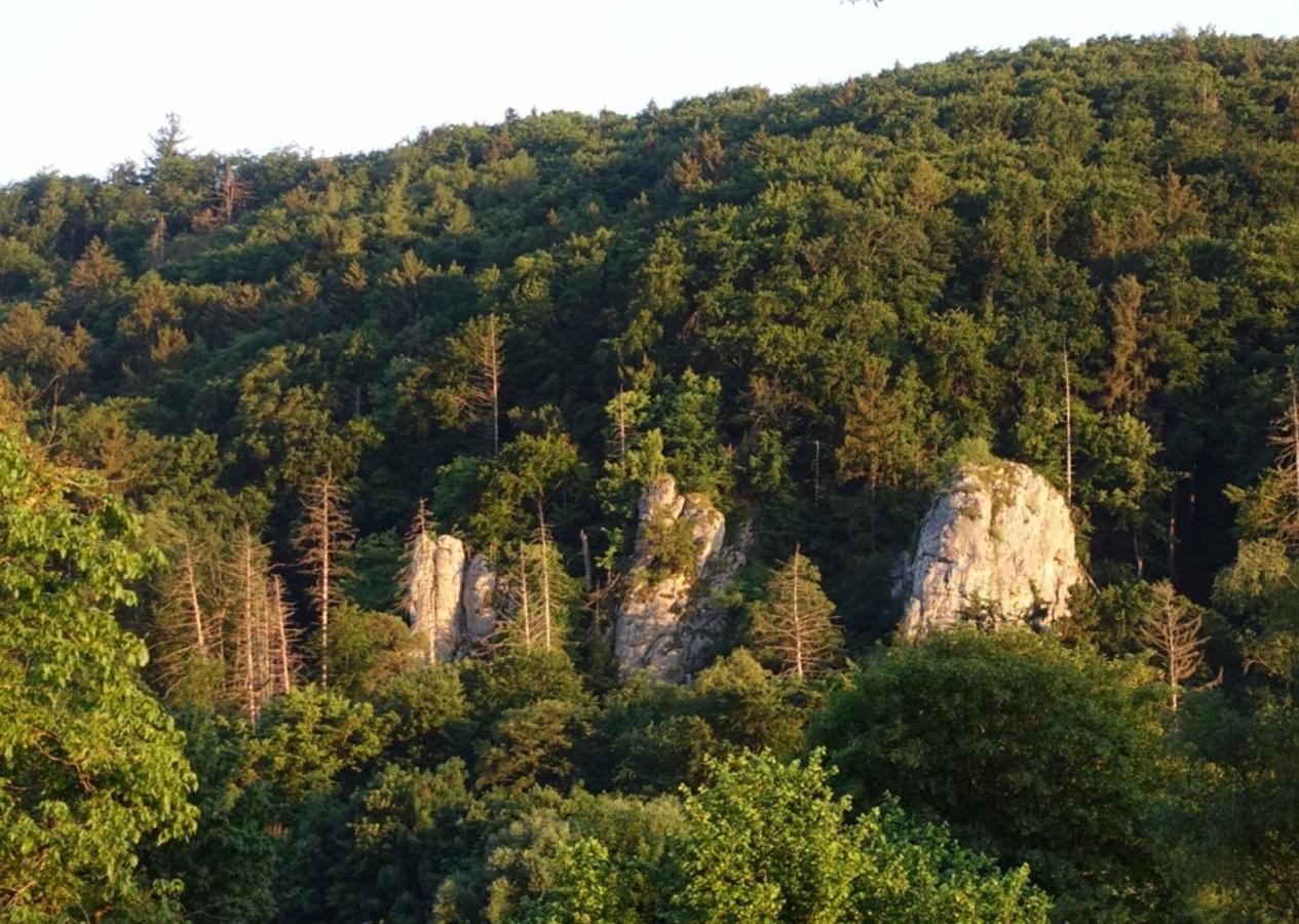 Fewo Lehner Riedenburg Luaran gambar